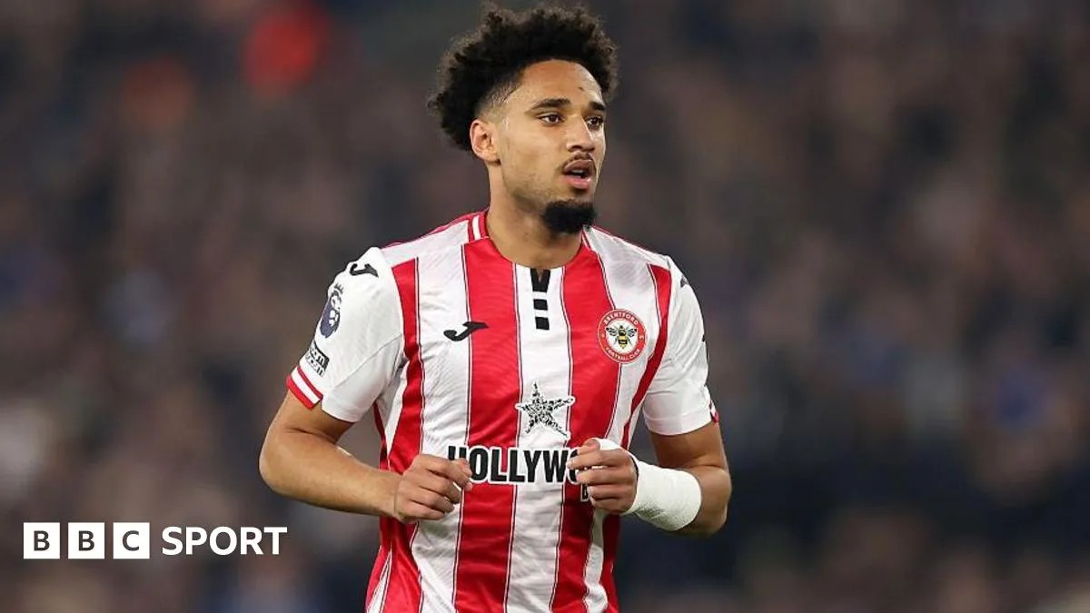 No VAR error but Brentford denied penalty v Wolves - panel